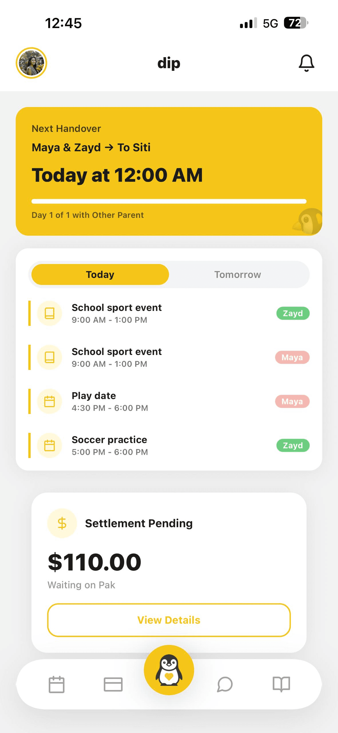 The dip home screen.